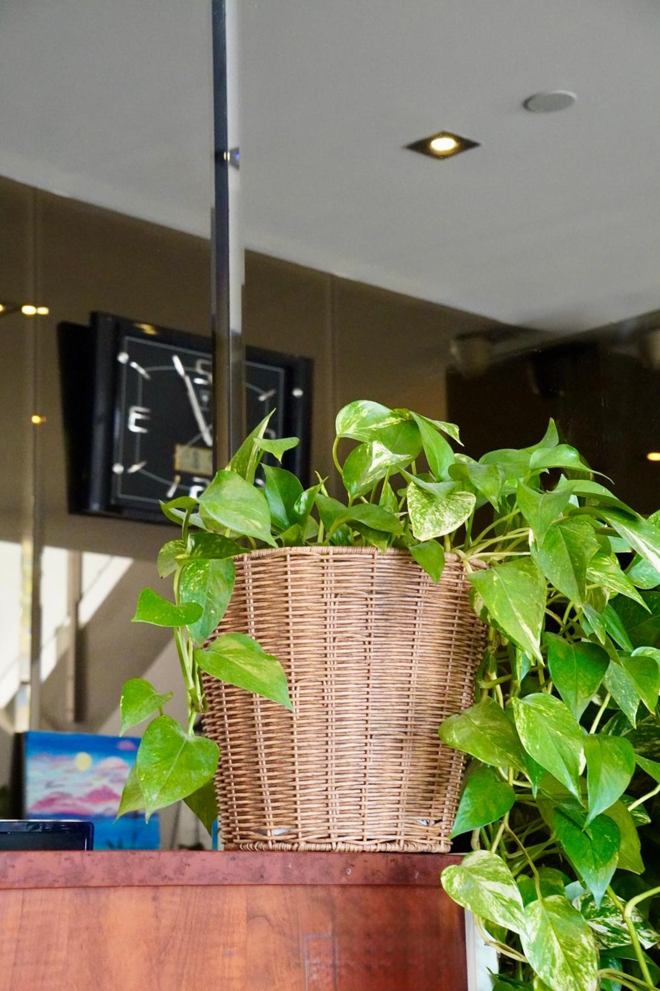 Melbourne Vivo Aparthotel Ngoại thất bức ảnh